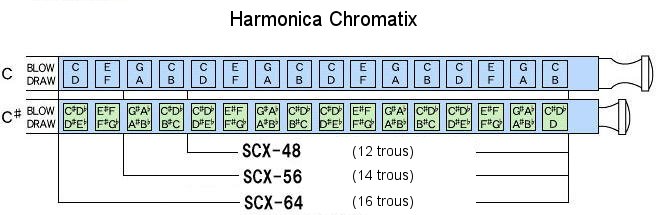 Magnifique Harmonica chromatique 12 trous !