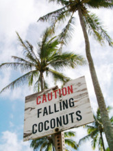 Falling Coconuts
